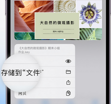 海西直辖apple维修中心分享iPhone文件应用中存储和找到下载文件