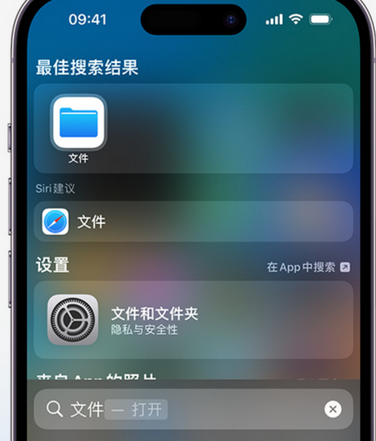 海西直辖apple维修中心分享iPhone文件应用中存储和找到下载文件 