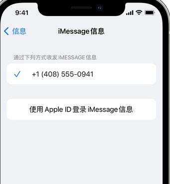 海西直辖apple维修iPhone上无法正常发送iMessage信息