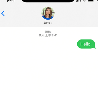 海西直辖apple维修iPhone上无法正常发送iMessage信息