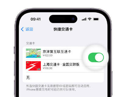 海西直辖apple维修点分享iPhone上更换Apple Pay快捷交通卡手绘卡面 