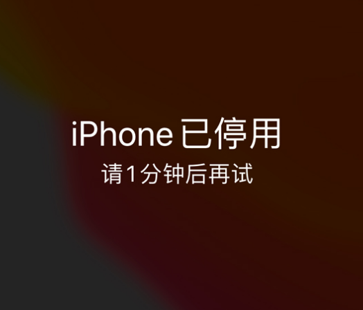 海西直辖苹果手机维修分享:iPhone 显示“不可用”或“已停用”怎么办？还能保留数据吗？ 