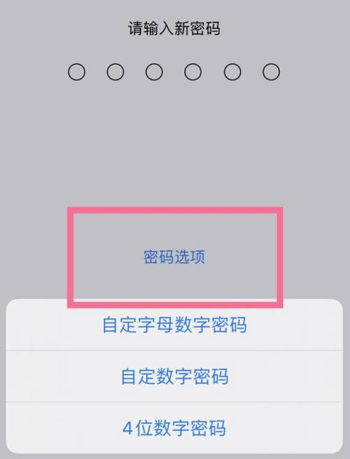 海西直辖苹果14维修分享iPhone 14plus设置密码的方法 