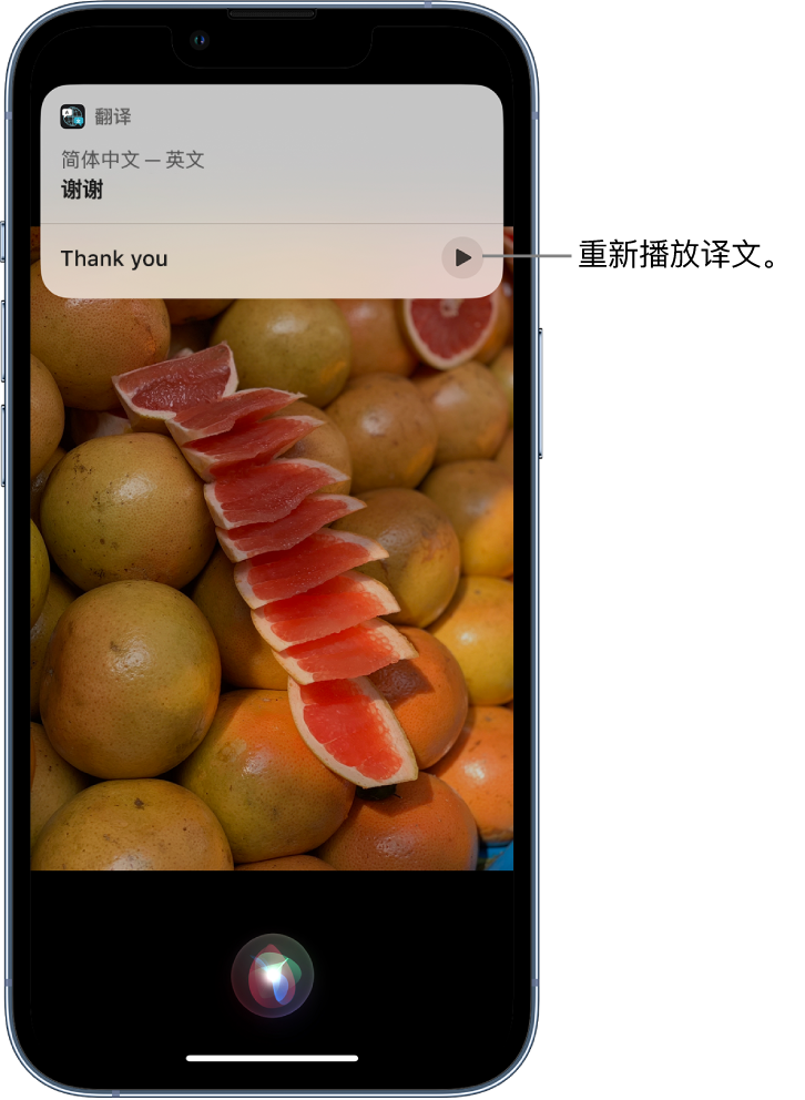 海西直辖苹果14维修分享 iPhone 14 机型中使用 Siri：了解 Siri 能帮你做什么 