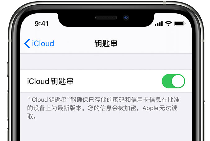 海西直辖苹果手机维修分享在 iPhone 上开启 iCloud 钥匙串之后会储存哪些信息 