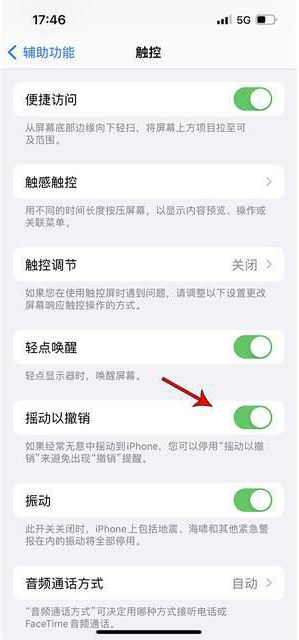 海西直辖苹果手机维修分享iPhone手机如何设置摇一摇删除文字 