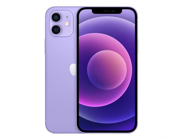 海西直辖苹果手机维修分享现阶段要不要入手紫色版iPhone12 