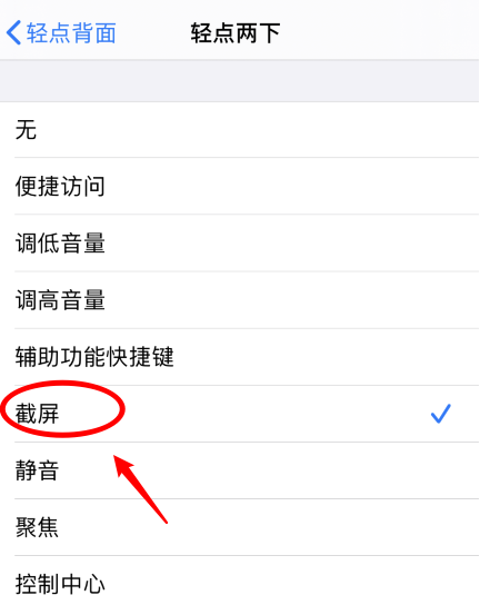海西直辖苹果手机维修分享iPhone12如何启用双击截屏 